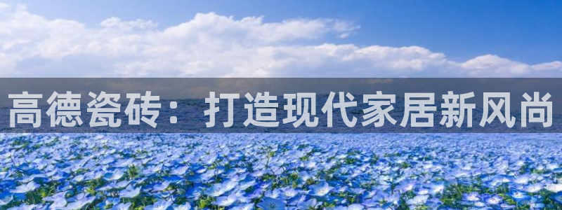 和记怡情h88官网