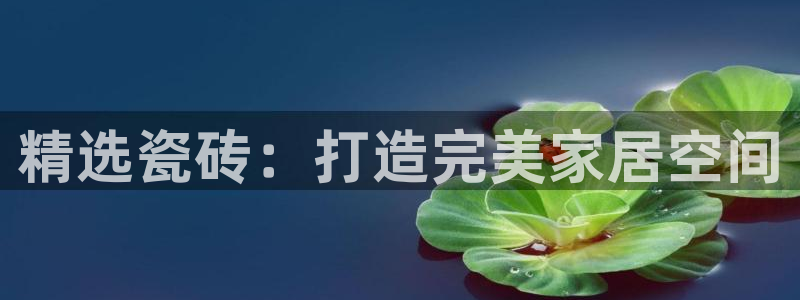 和记增值官网