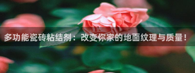 和记 中国官网
