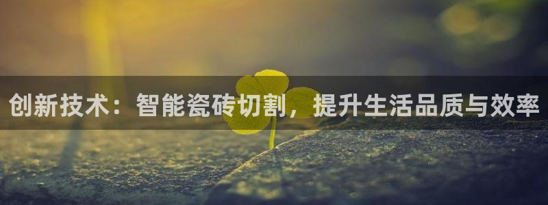 和木记手帕官网