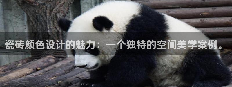 毛记和意冒菜官网加盟