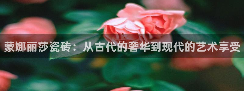 和记娱等级h88285官网