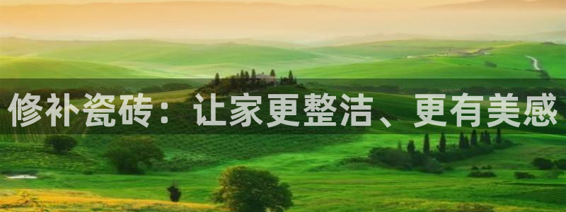 和记黄埔 官网
