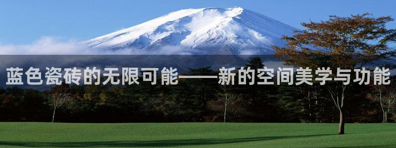 和记电讯官网0机构