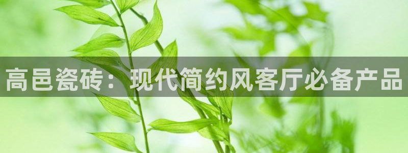 和记网开户官网