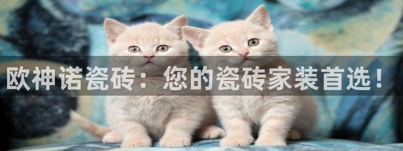 上海和记黄埔官网