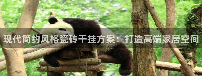 和帆记加盟官网