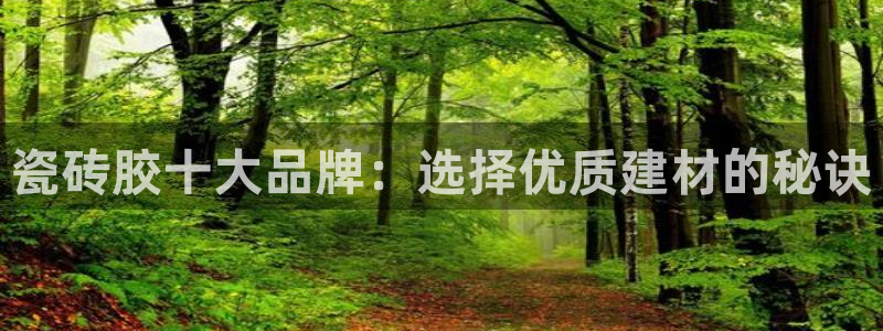 和记国际官网电话