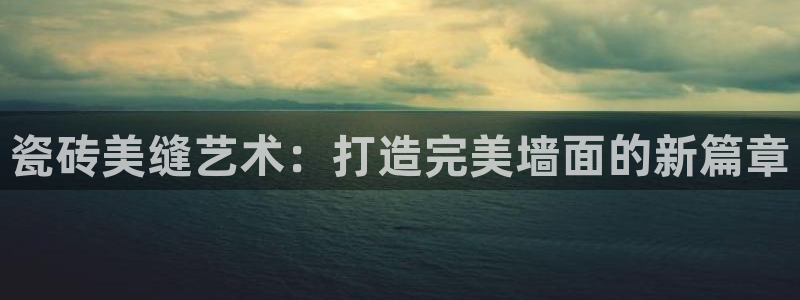 和记怡情h88官网中文版