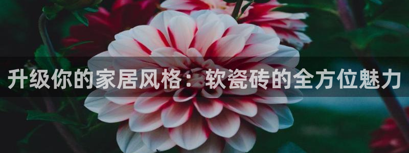 菲律宾和记官网