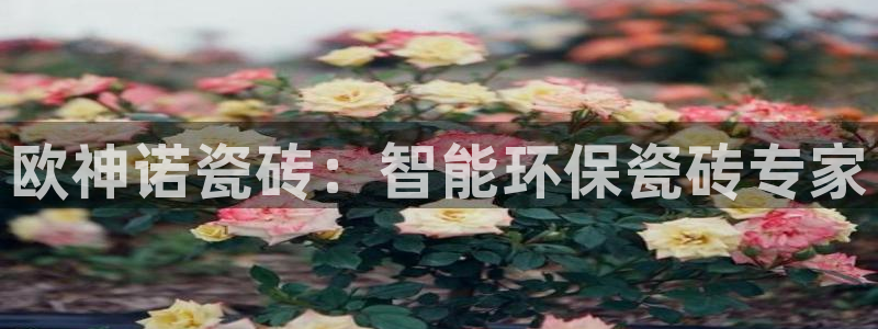 江苏和记伟业官网