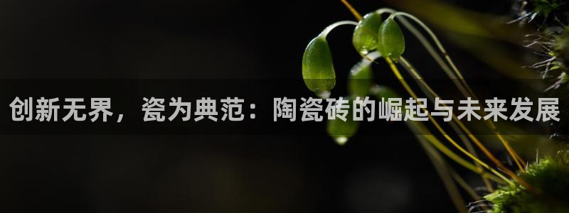 和记官网官网入口