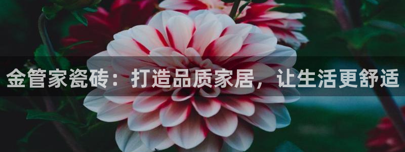 和记官网手机新版app下载