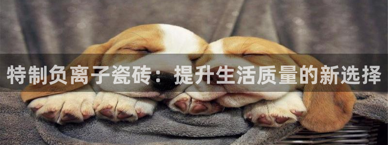 和记一品官网