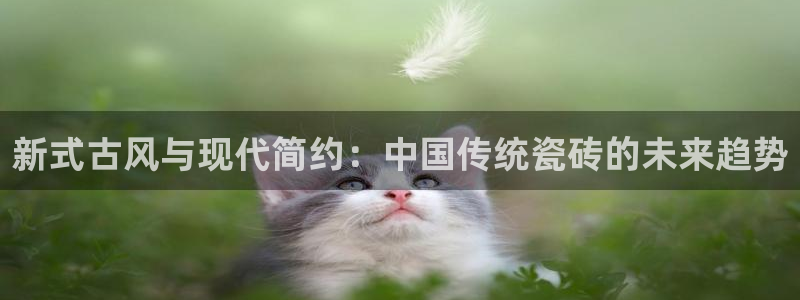 和记3香港 官网