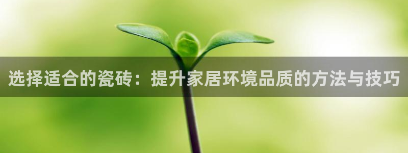 成都和记黄埔官网