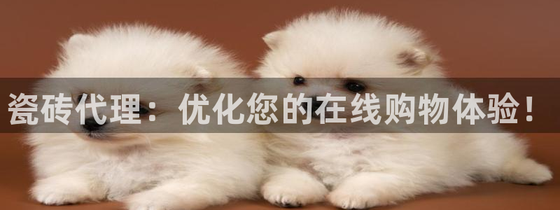 菲律宾和记官网