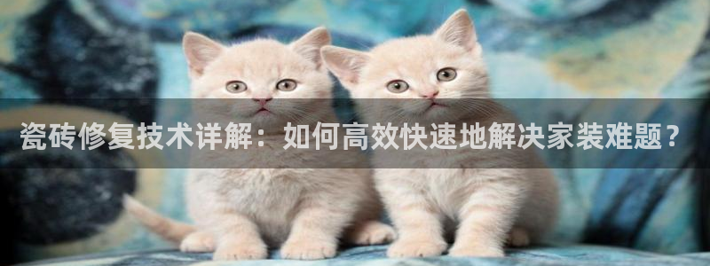 和记怡情h88官网