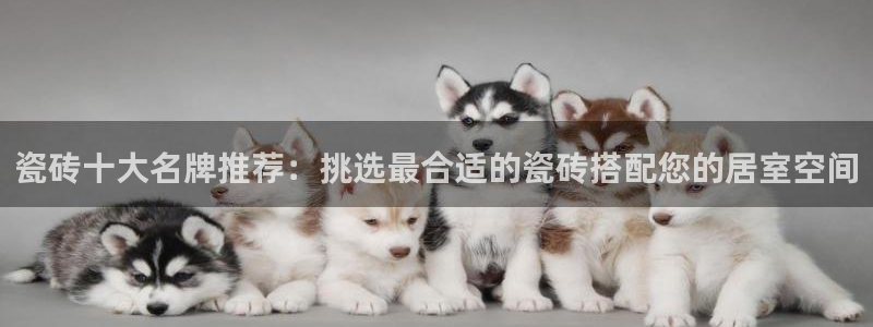 和兴记官网
