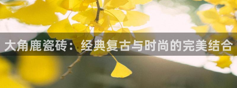 和记电讯香港官网