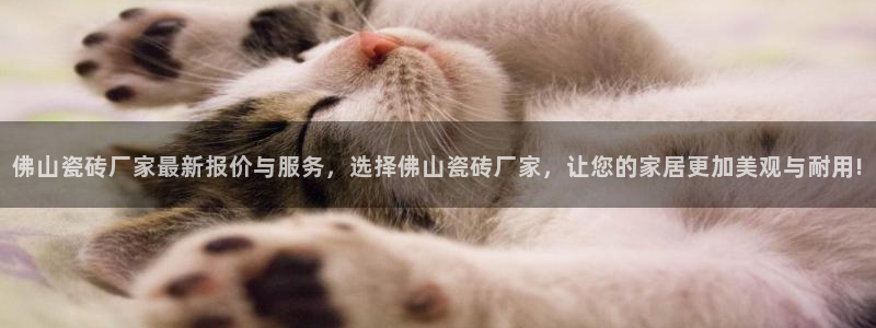 成都和记黄埔官网