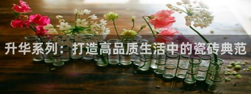 和记娱技精h88285官网