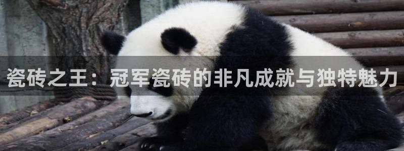 和记国际电讯官网