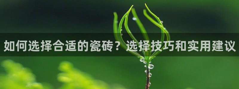 和记官网app是谁的