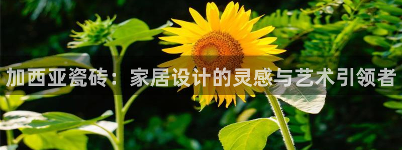 和记娱乐怡情官网
