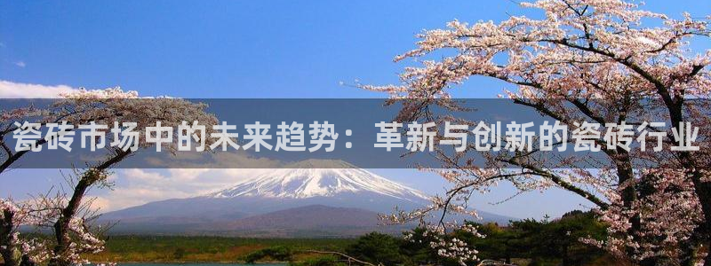 和记娱永久h88285官网