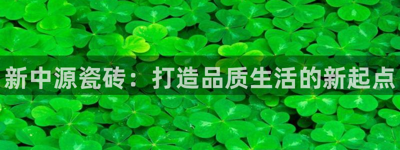香港和记3官网