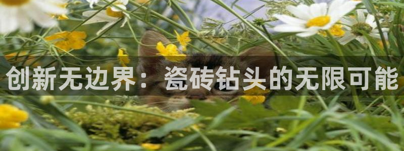 和记手机客户端官网