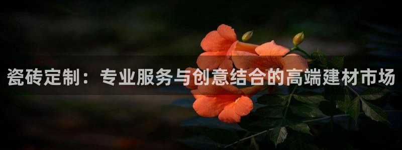 和记体育官网